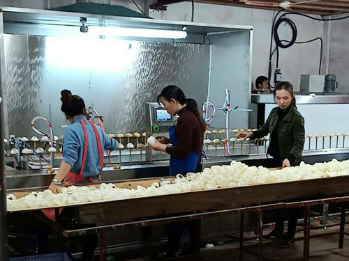 玩具喷涂线- 塑胶壳喷油